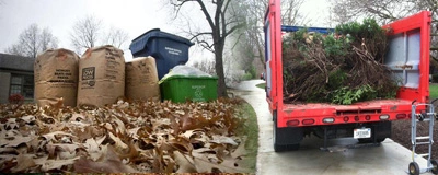 Yard Waste Removal